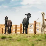 Wczasowy Z Dostepem Do Mini Zoo Donkeyszot