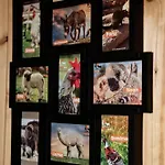 別荘 Wczasowy Z Dostepem Do Mini Zoo Donkeyszot