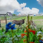 Wczasowy Z Dostepem Do Mini Zoo Donkeyszot Rogozina