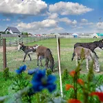 Wczasowy Z Dostepem Do Mini Zoo Donkeyszot