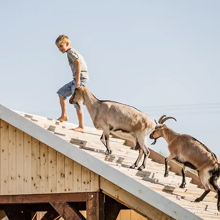 Ferienhaus Wczasowy Z Dostepem Do Mini Zoo Donkeyszot Rogozina