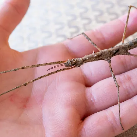 Wczasowy Z Dostepem Do Mini Zoo Donkeyszot Σπίτι διακοπών