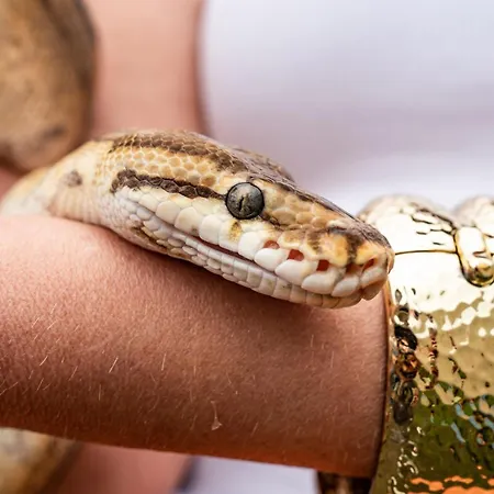 Σπίτι διακοπών Wczasowy Z Dostepem Do Mini Zoo Donkeyszot Rogozina