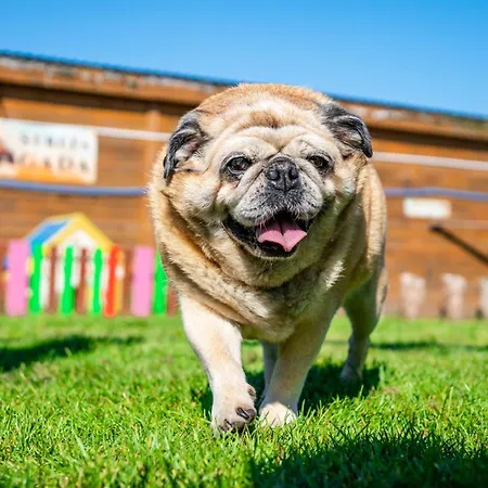 Σπίτι διακοπών Wczasowy Z Dostepem Do Mini Zoo Donkeyszot Rogozina