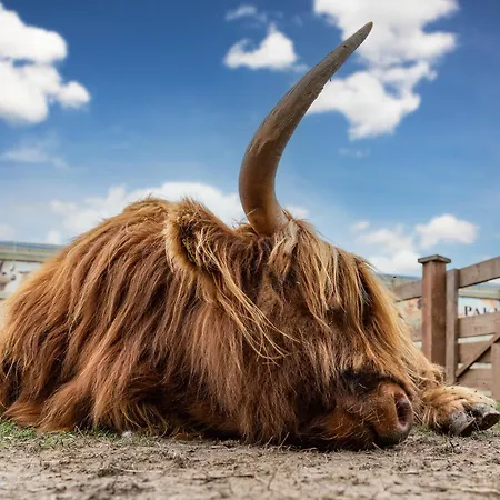 Wczasowy Z Dostepem Do Mini Zoo Donkeyszot Σπίτι διακοπών *