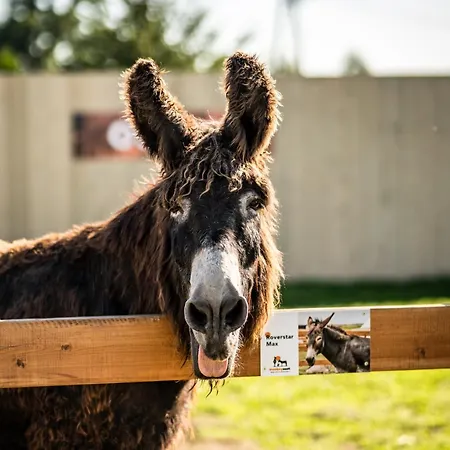 Ferienhaus Wczasowy Z Dostepem Do Mini Zoo Donkeyszot Rogozina