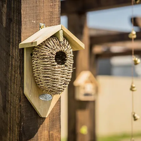 Wczasowy Z Dostepem Do Mini Zoo Donkeyszot * Rogozina