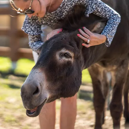 Wczasowy Z Dostepem Do Mini Zoo Donkeyszot Rogozina
