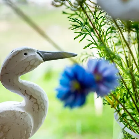 Wczasowy Z Dostepem Do Mini Zoo Donkeyszot Σπίτι διακοπών *