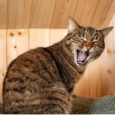 Σπίτι διακοπών Wczasowy Z Dostepem Do Mini Zoo Donkeyszot Rogozina