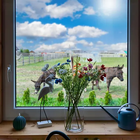 Wczasowy Z Dostepem Do Mini Zoo Donkeyszot Rogozina