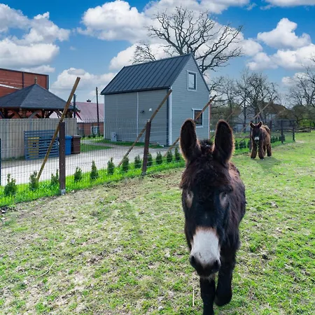 Ferienhaus Wczasowy Z Dostepem Do Mini Zoo Donkeyszot
