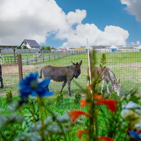 Wczasowy Z Dostepem Do Mini Zoo Donkeyszot Rogozina