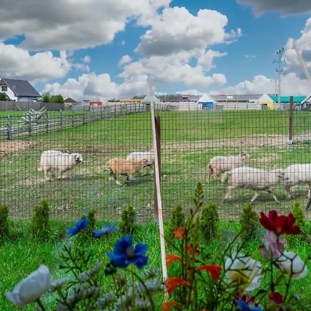 Ferienhaus Wczasowy Z Dostepem Do Mini Zoo Donkeyszot Rogozina