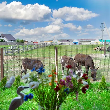 Ferienhaus Wczasowy Z Dostepem Do Mini Zoo Donkeyszot