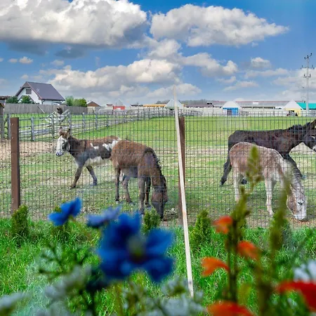 Wczasowy Z Dostepem Do Mini Zoo Donkeyszot