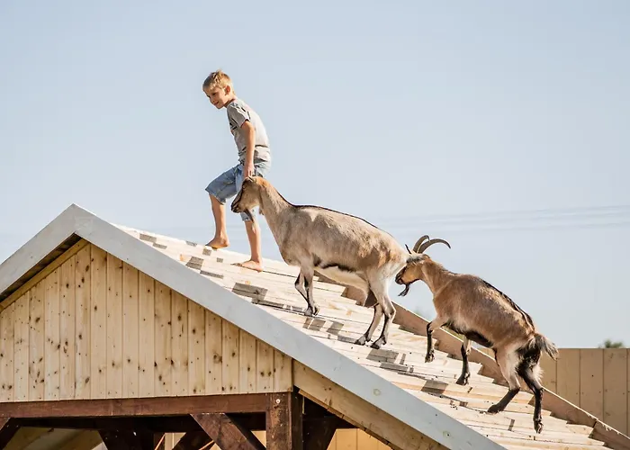Vakantiehuis Wczasowy Z Dostepem Do Mini Zoo Donkeyszot Rogozina