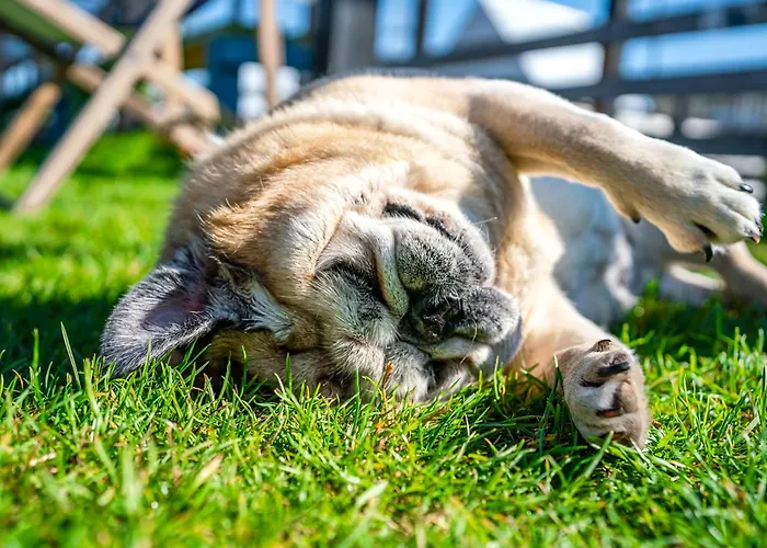 Vakantiehuis Wczasowy Z Dostepem Do Mini Zoo Donkeyszot