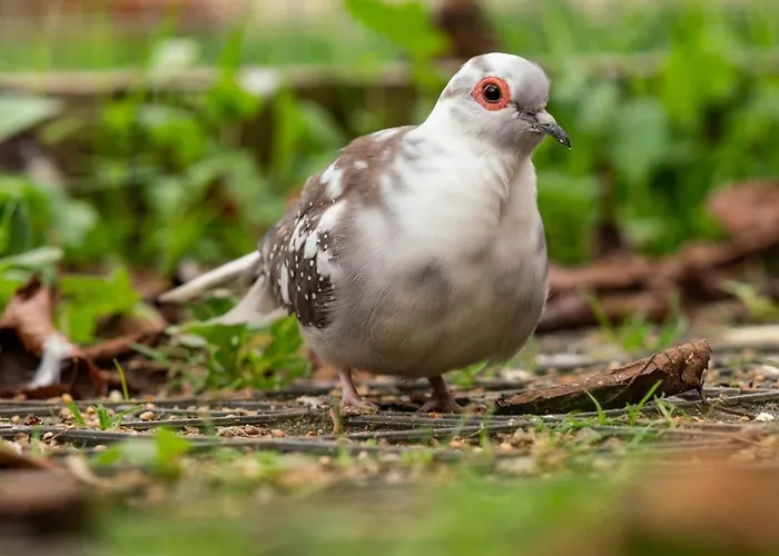 Wczasowy Z Dostepem Do Mini Zoo Donkeyszot Vakantiehuis