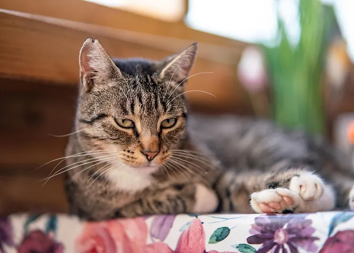 Vakantiehuis Wczasowy Z Dostepem Do Mini Zoo Donkeyszot Rogozina