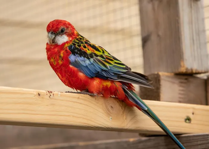 Vakantiehuis Wczasowy Z Dostepem Do Mini Zoo Donkeyszot