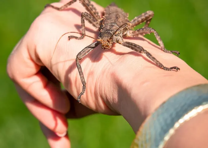 Wczasowy Z Dostepem Do Mini Zoo Donkeyszot *