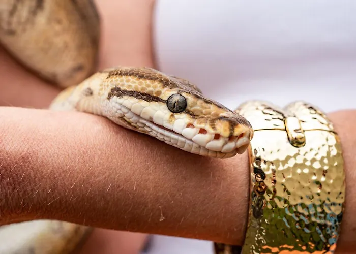 Vakantiehuis Wczasowy Z Dostepem Do Mini Zoo Donkeyszot Rogozina