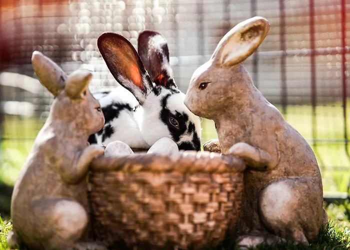 Wczasowy Z Dostepem Do Mini Zoo Donkeyszot * Rogozina