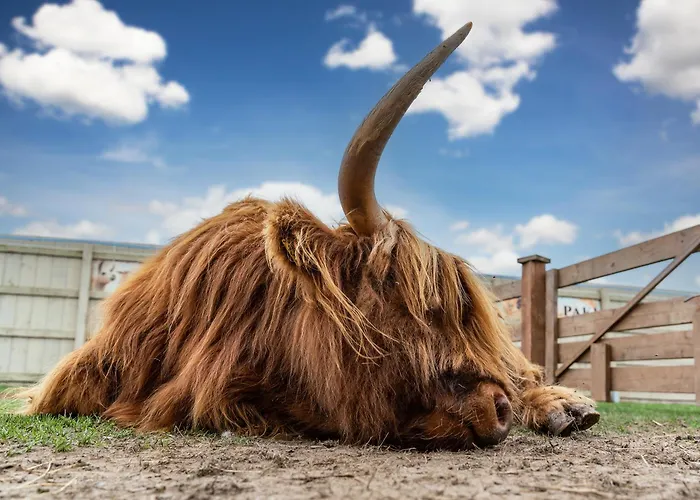 Wczasowy Z Dostepem Do Mini Zoo Donkeyszot Vakantiehuis *