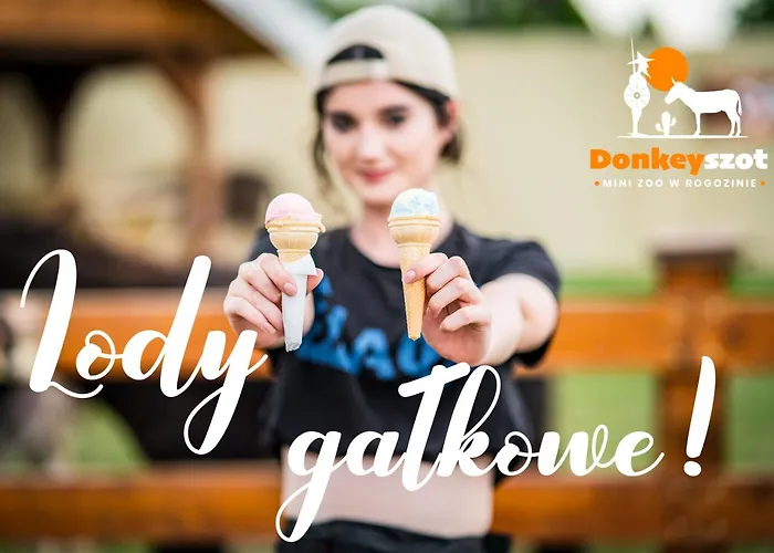 Wczasowy Z Dostepem Do Mini Zoo Donkeyszot