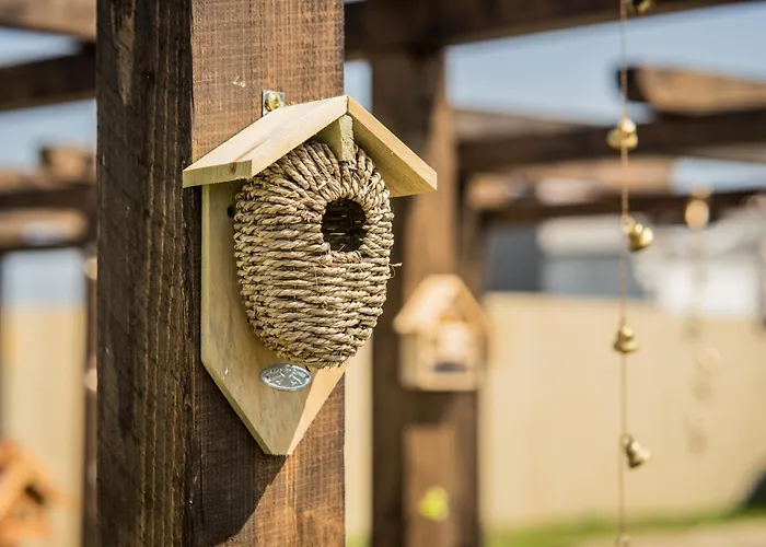 Wczasowy Z Dostepem Do Mini Zoo Donkeyszot * Rogozina