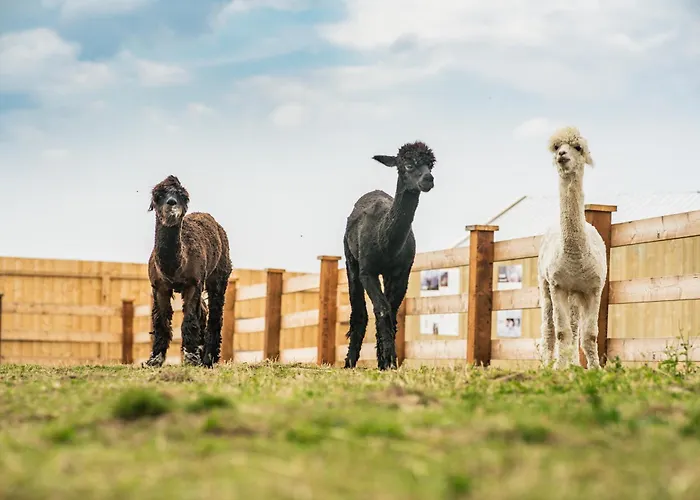 Wczasowy Z Dostepem Do Mini Zoo Donkeyszot