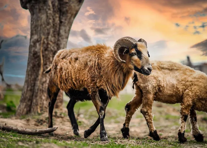 Vakantiehuis Wczasowy Z Dostepem Do Mini Zoo Donkeyszot Rogozina