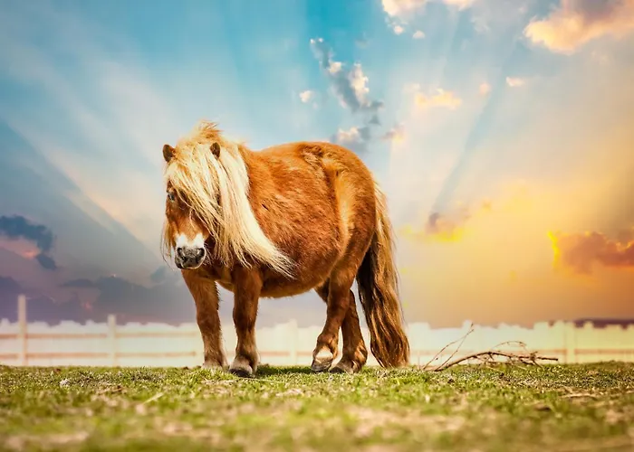 Vakantiehuis Wczasowy Z Dostepem Do Mini Zoo Donkeyszot *