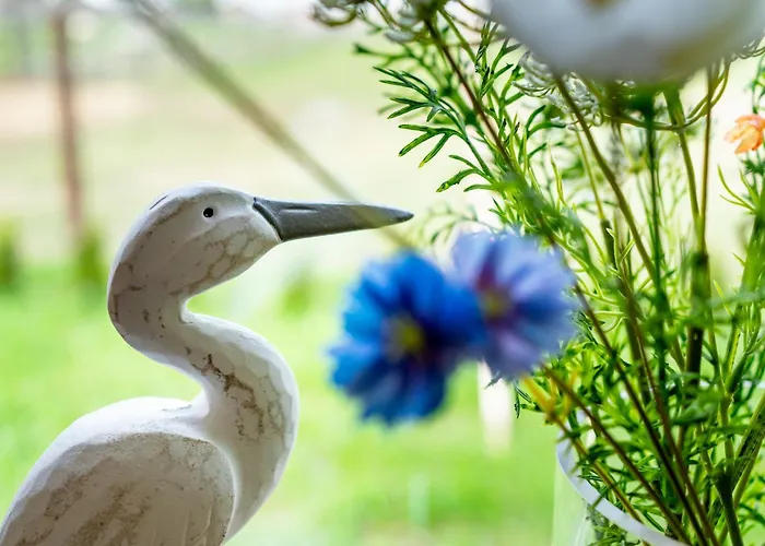 Wczasowy Z Dostepem Do Mini Zoo Donkeyszot Vakantiehuis *