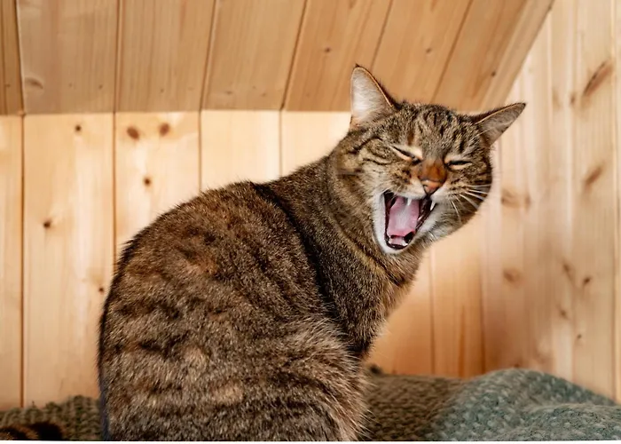 Vakantiehuis Wczasowy Z Dostepem Do Mini Zoo Donkeyszot Rogozina