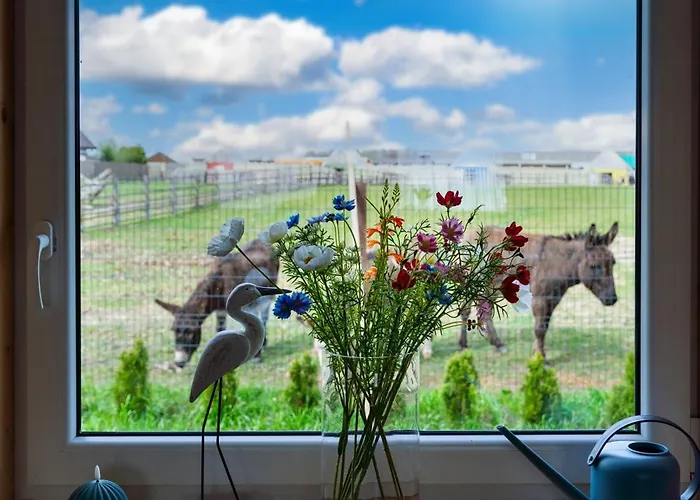 Wczasowy Z Dostepem Do Mini Zoo Donkeyszot Rogozina