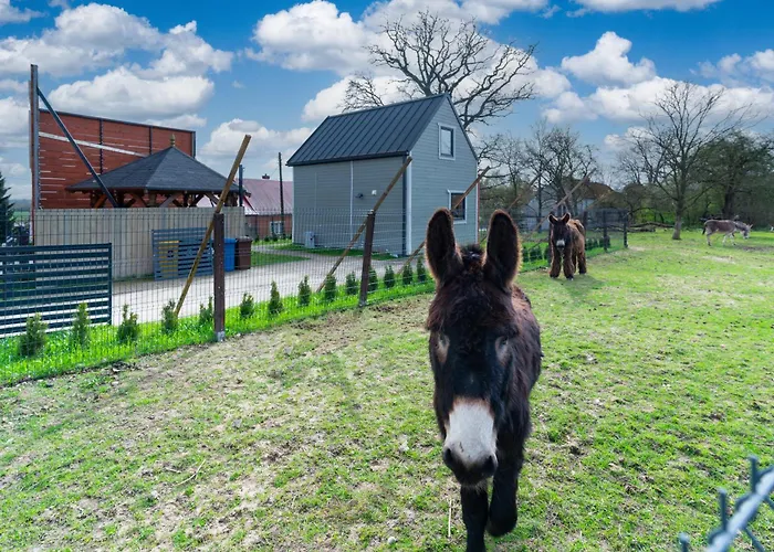 Vakantiehuis Wczasowy Z Dostepem Do Mini Zoo Donkeyszot