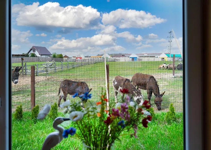 Vakantiehuis Wczasowy Z Dostepem Do Mini Zoo Donkeyszot