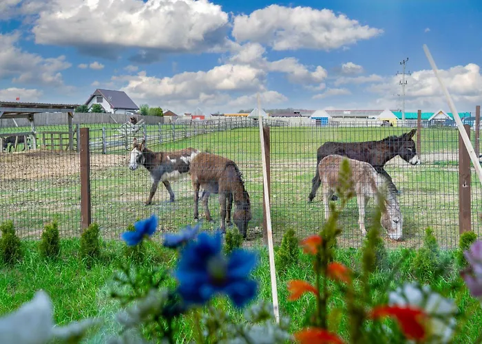 Wczasowy Z Dostepem Do Mini Zoo Donkeyszot